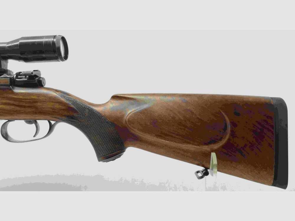 Honold Ulm avec Zeiss Diastal 8x52