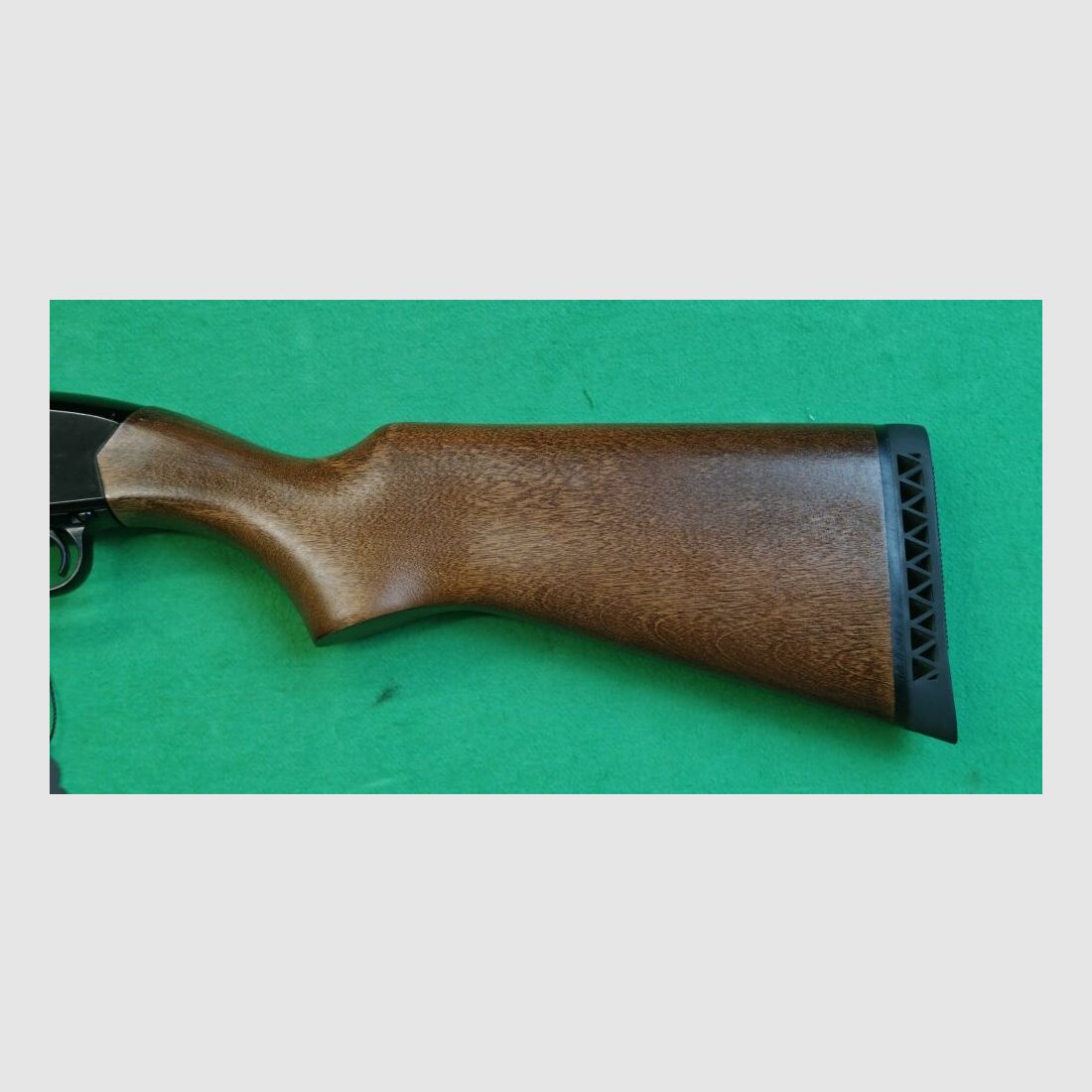Remington Defender