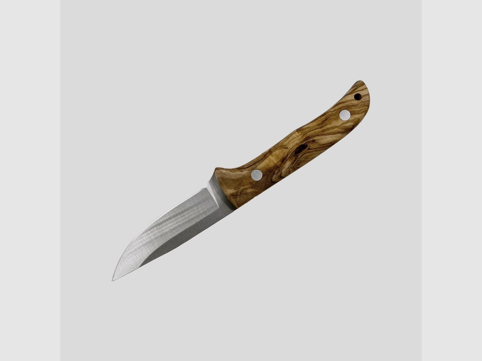 Miguel Nieto – Coyote 1058, Bild 2 von 3