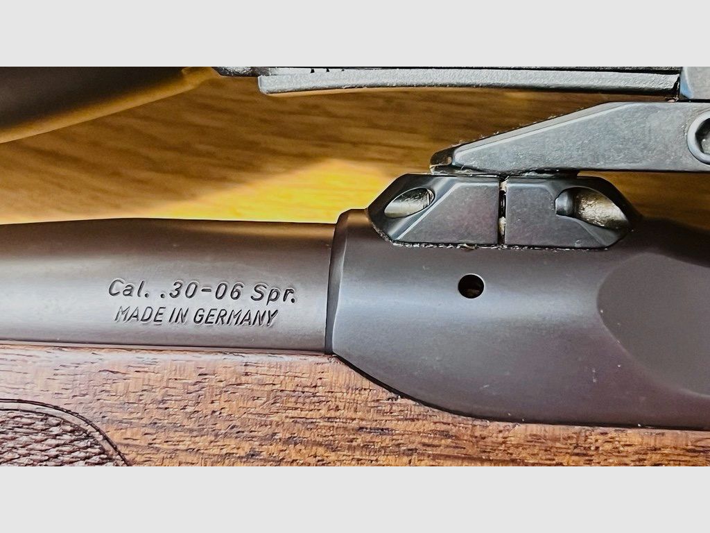 Sauer 202, système en acier, .30-06, avec paquet Swarovski ZF