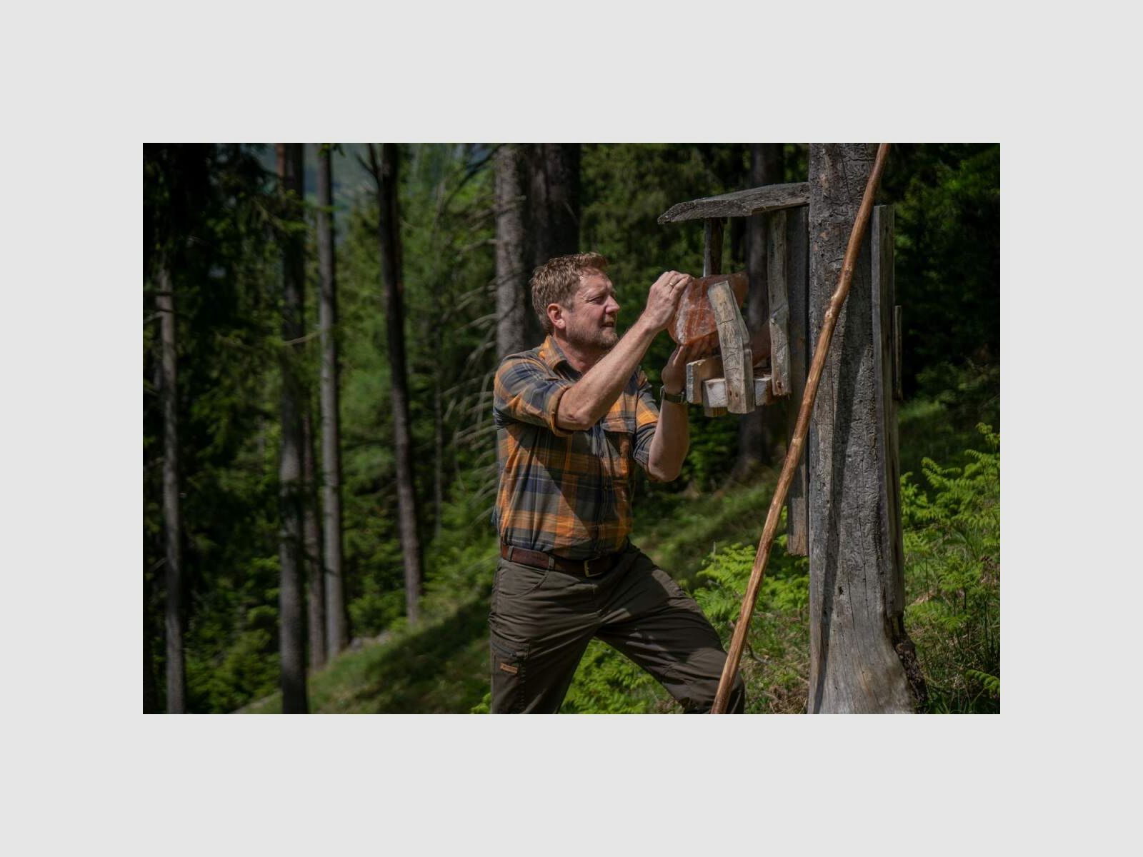 WALDKAUZ Karohemd "Hackepeter II", Bild 7 von 9