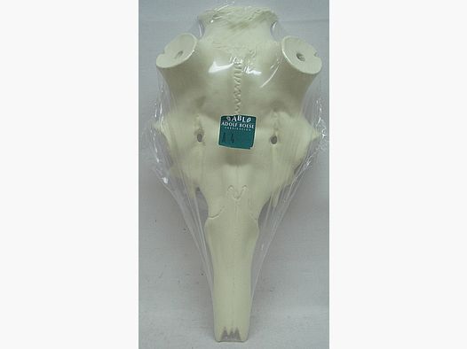 Red deer skull A9 65mm -