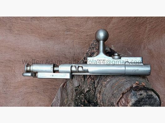 Steyr Kropatschek 1889