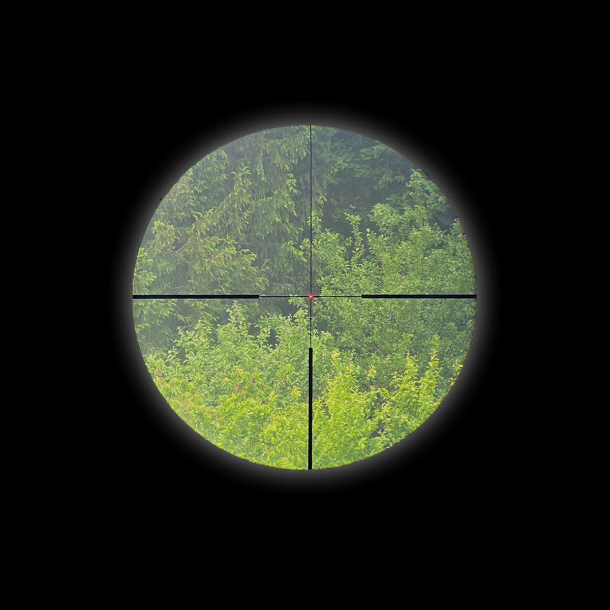 Staffelsee 1,5-9x42 LD V2 réticule en fibre illuminé 4