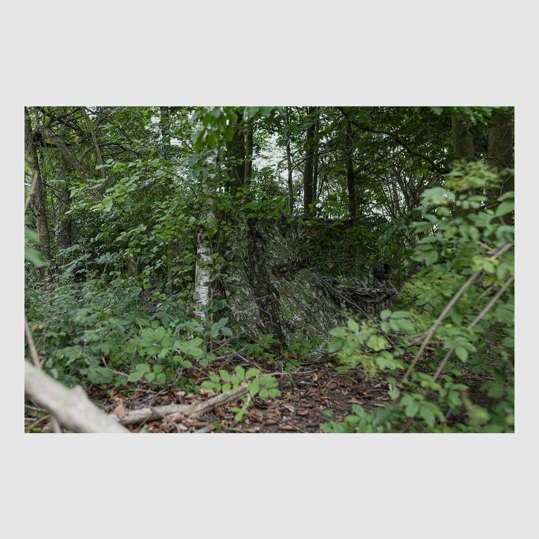 Ghosthood RECCE-NET