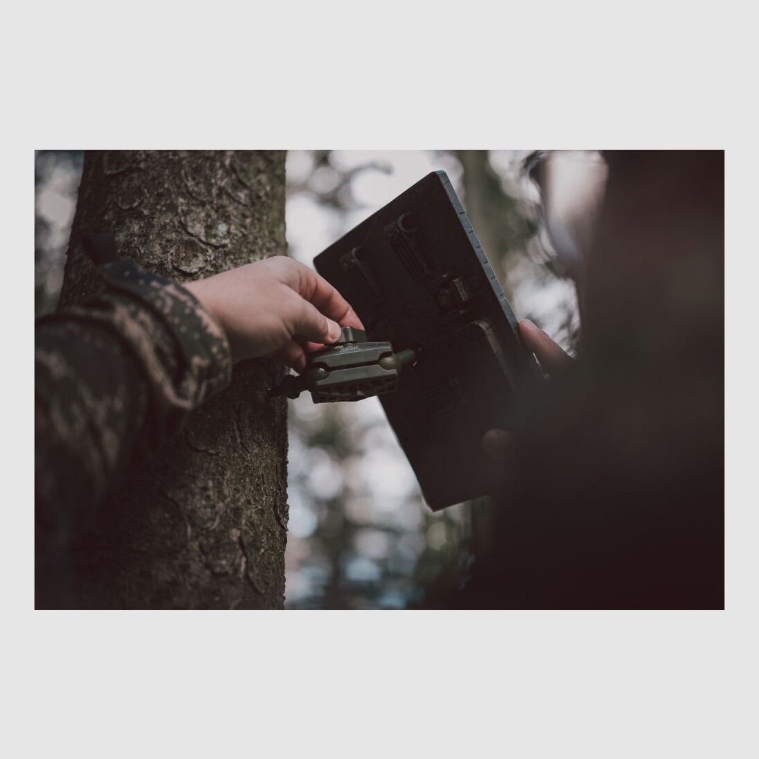 Trípode de árbol de sesenta con juntas esféricas