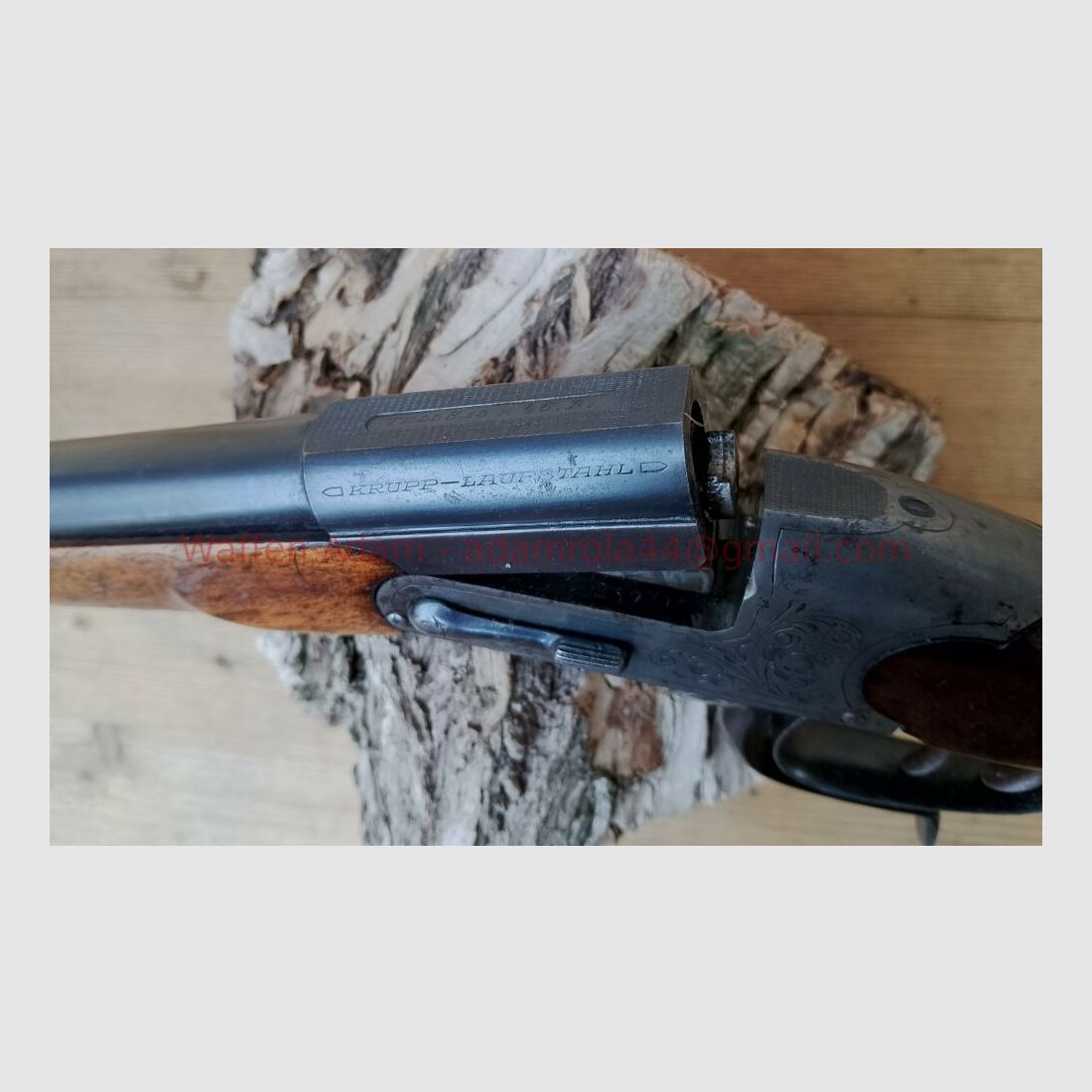 Sauer & Sohn Modell Tell , Hammerless, um 1900