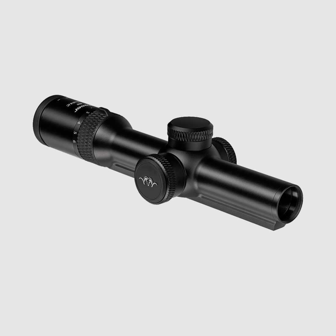 Blaser B2 1-6x24 iC S avec rail