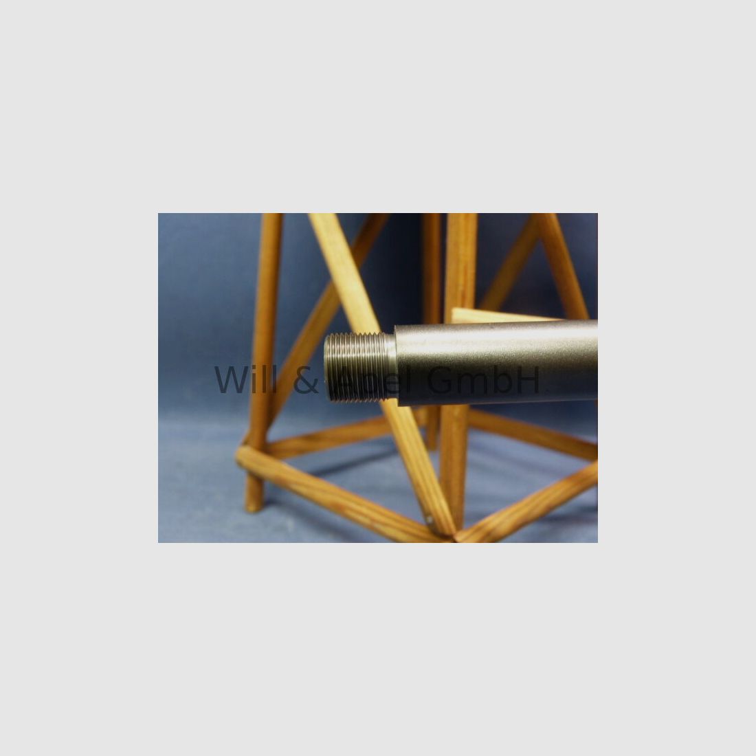 BLASER/ ISNY R93 TIMBER