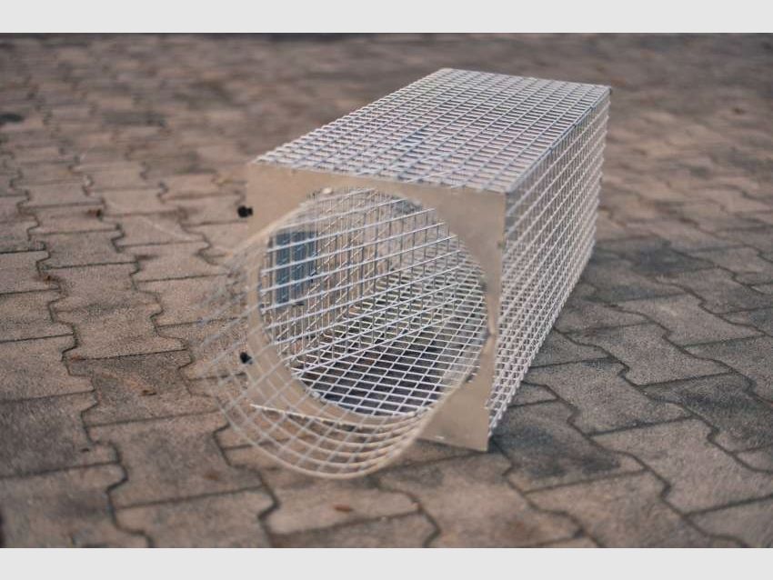 <Krefeld catch basket>