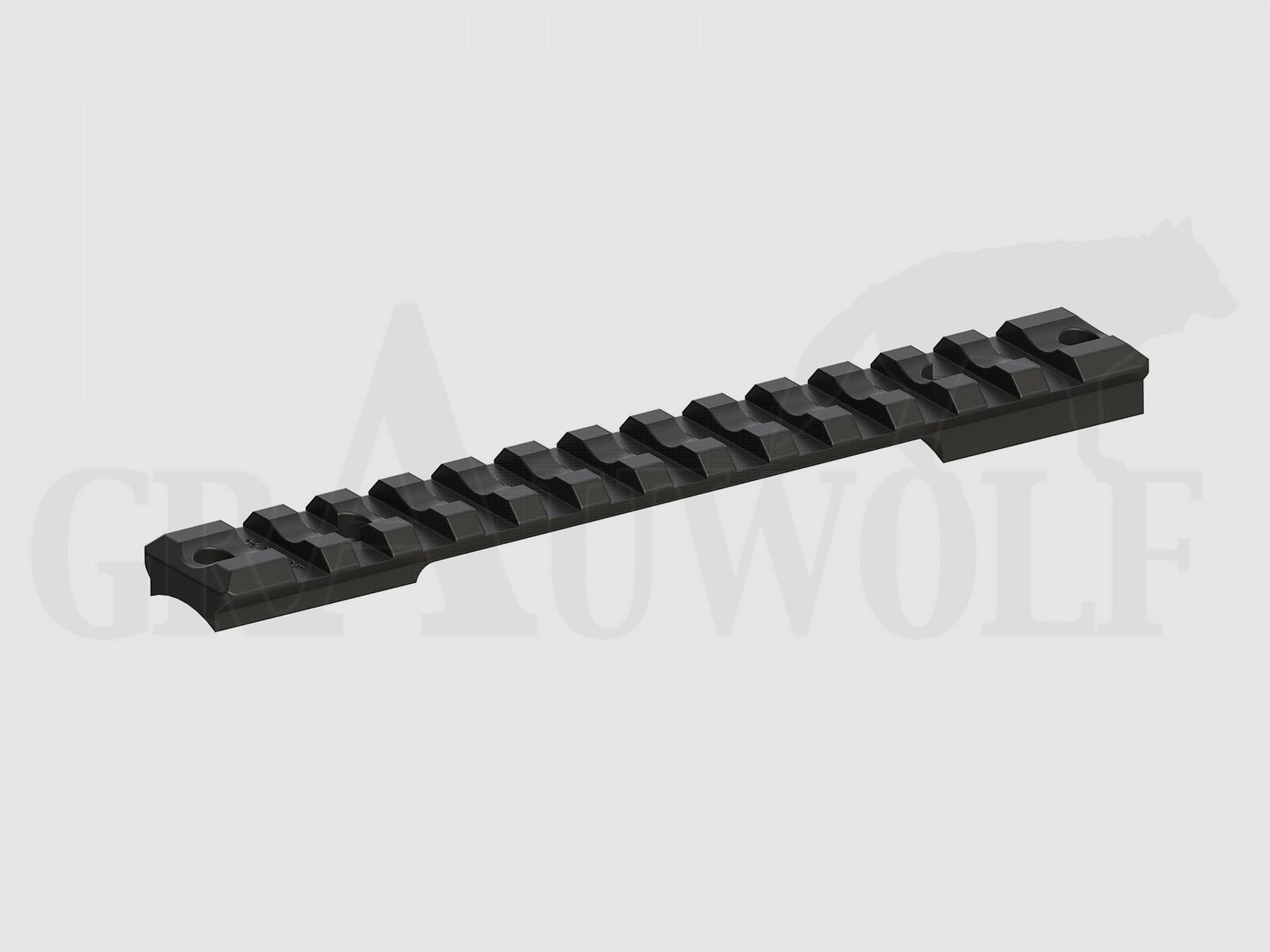 Recknagel Picatinny rail steel Sauer 202 20 MOA