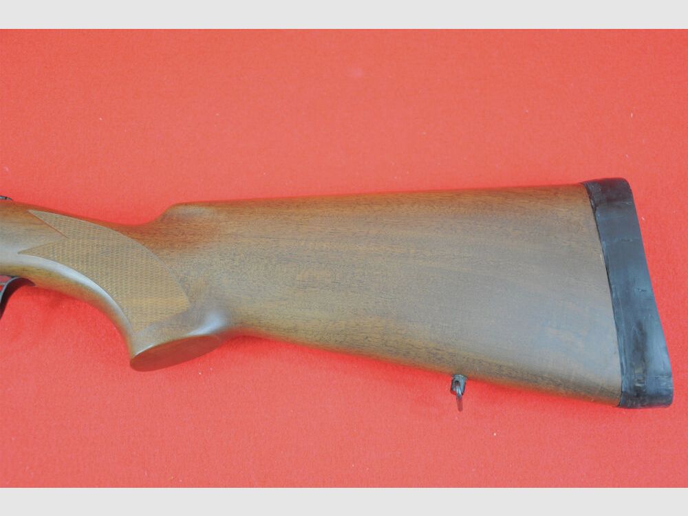 Rizzini Albion