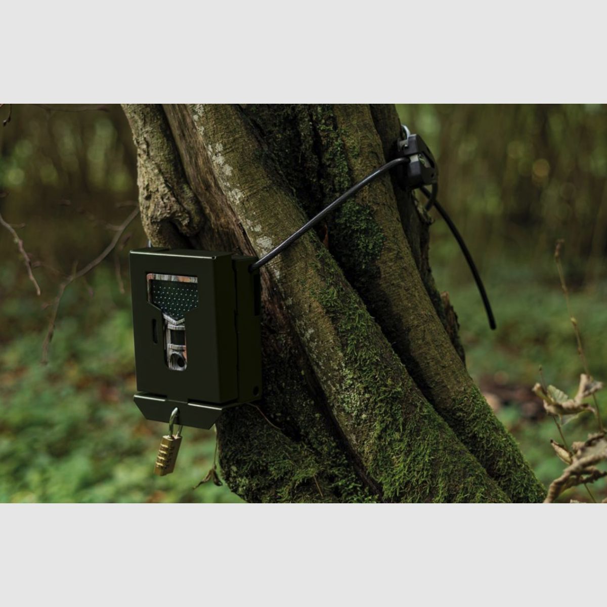 DÖRR Snapshot Cavo di sicurezza Master Lock Python nero 1,80m