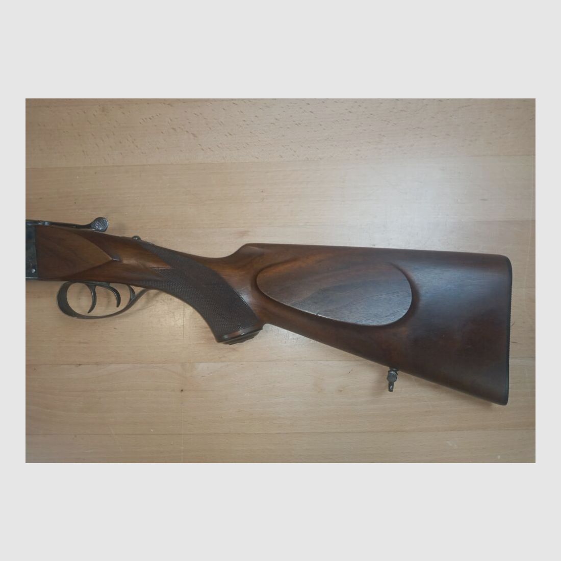 Geco Aigle