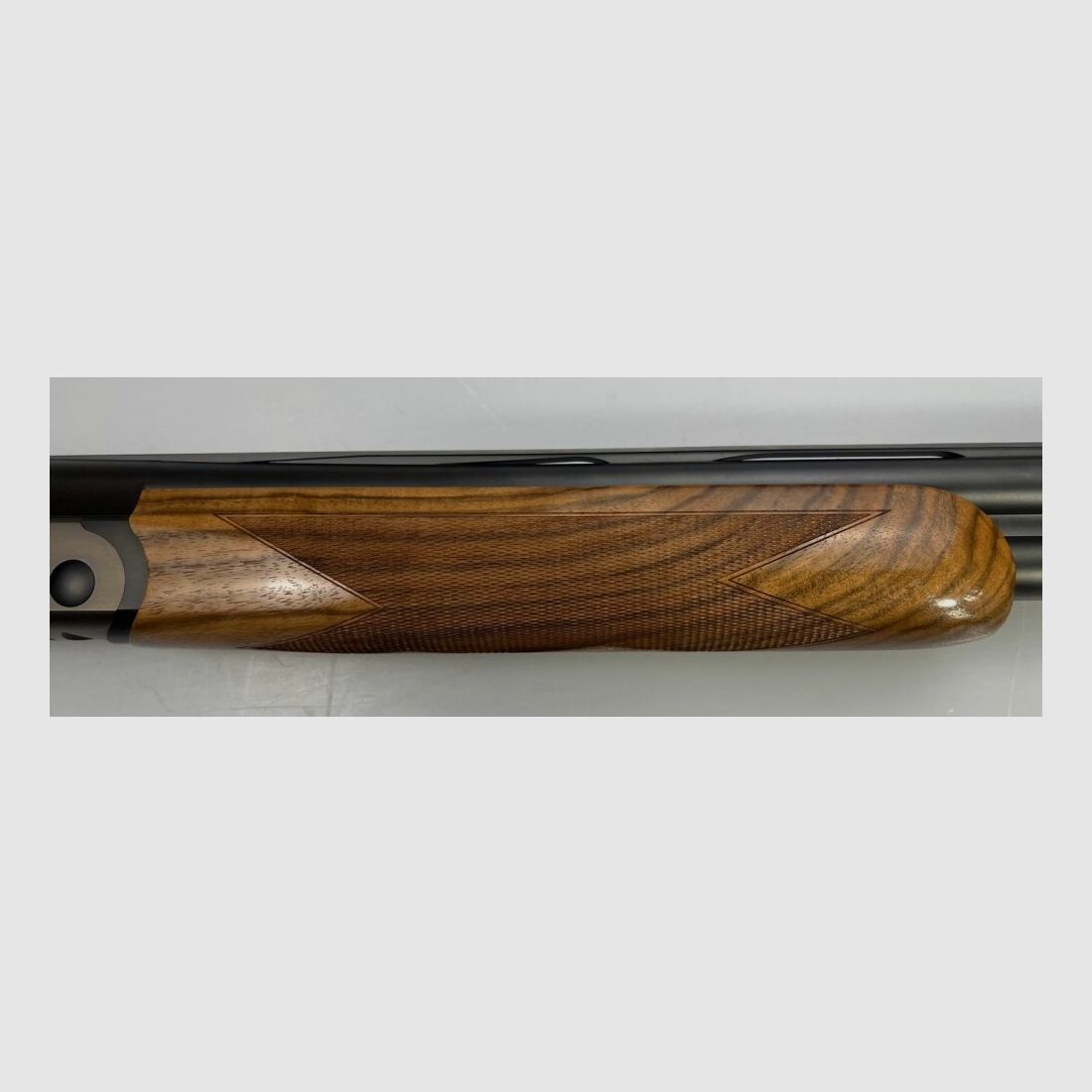 Blaser F16 Game