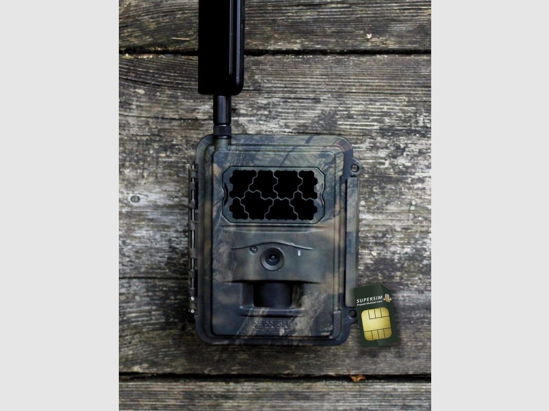 Seissiger Solar-Panel für Wildkameras