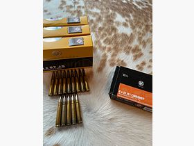 RWS 8x57 JS Evolution 13g / 200gr 75 shots