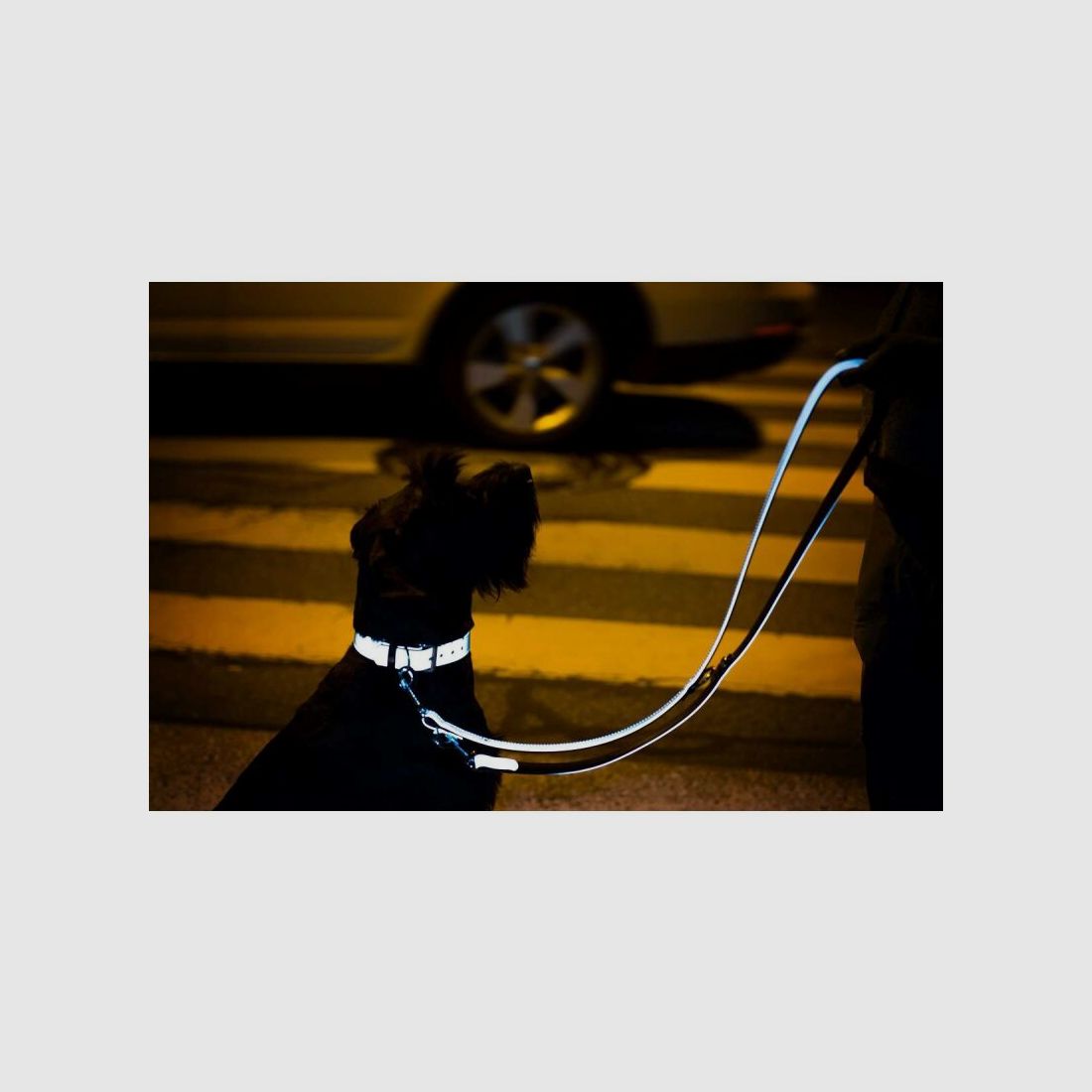 Das Lederband Hundeführleine Oslo Silver reflective B 22 mm / L 200 cm