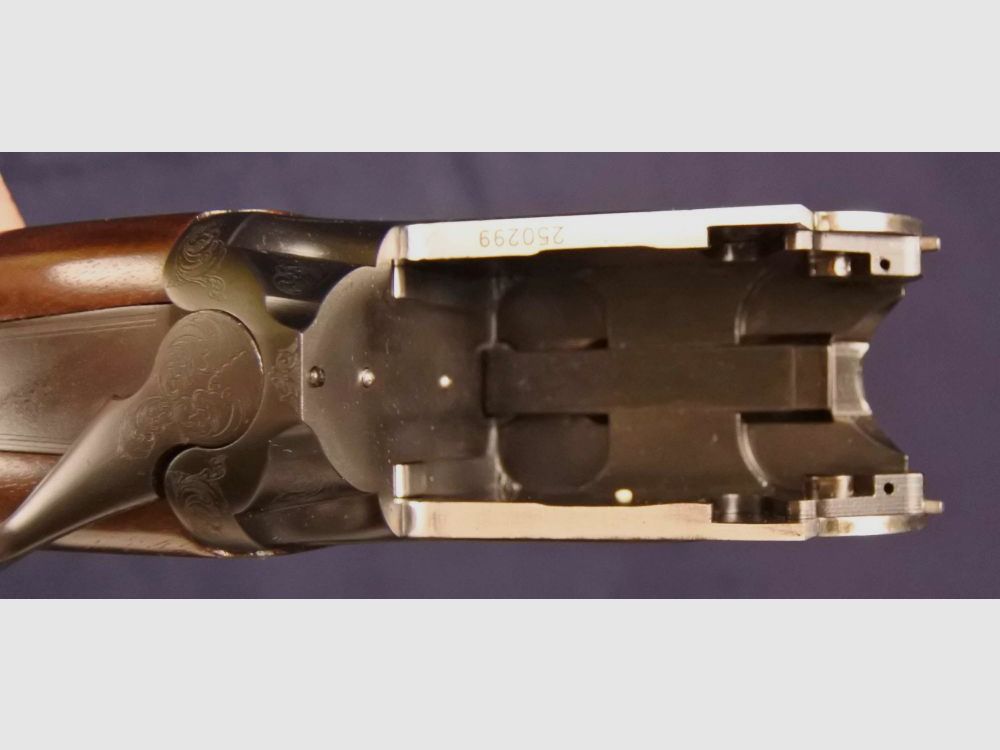 Antonio Zoli CG Esperto matt