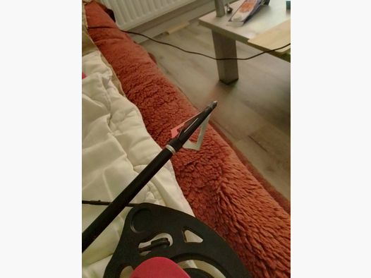 NXG CB ROBIN ESPERTO