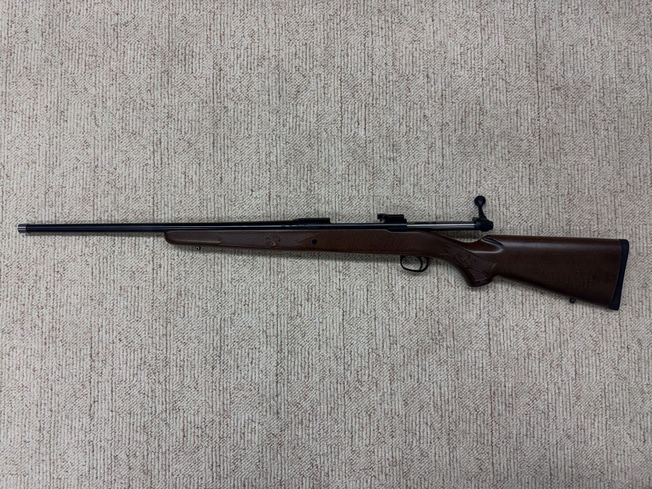 Savage 111