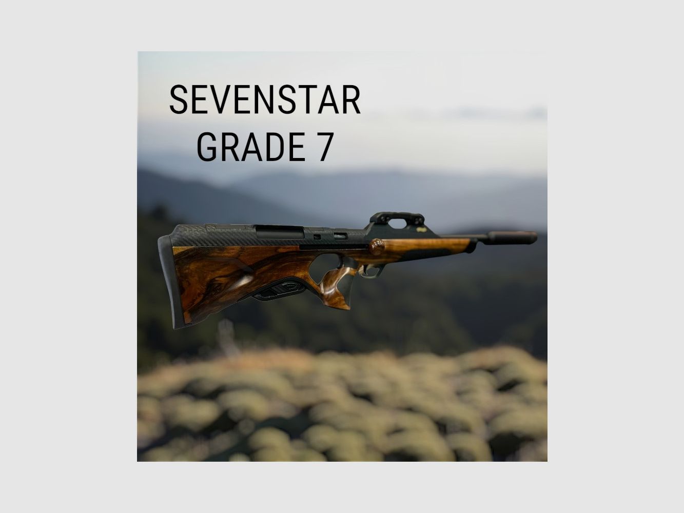 CARABINE RS3 WHALTER Bois Sevenstar : Ultra-Compacte 2026, image 1 sur 13
