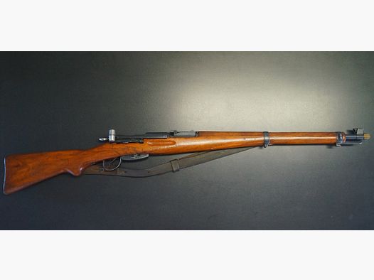 Karabiner 31