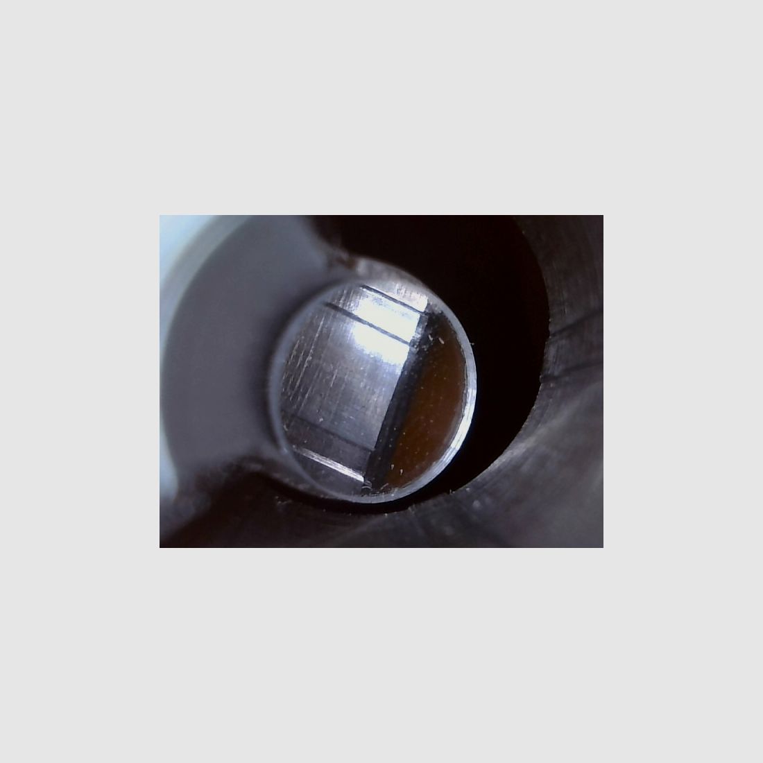 Ruger American Magnum Rifle .300 WinMag, die unzickige mit etwas Bumms, Drückjagd, Longrange