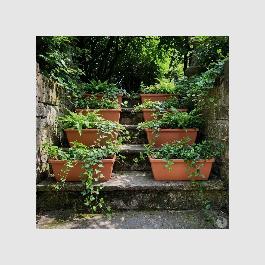 Set aus 8 Elho® Balkonkästen 70x16cm in Terracotta-Optik, Bild 1 von 11