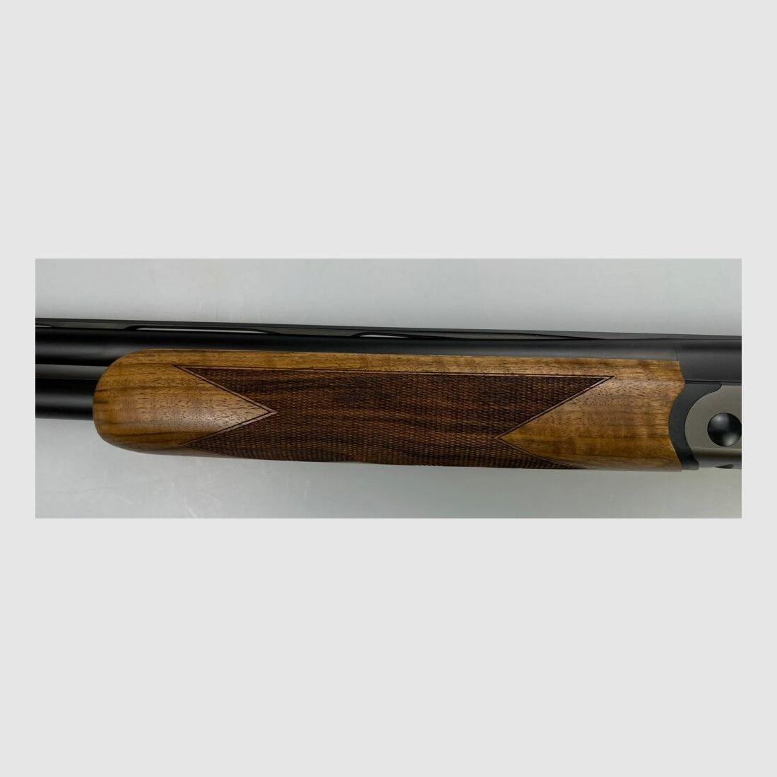 Blaser F16 Game