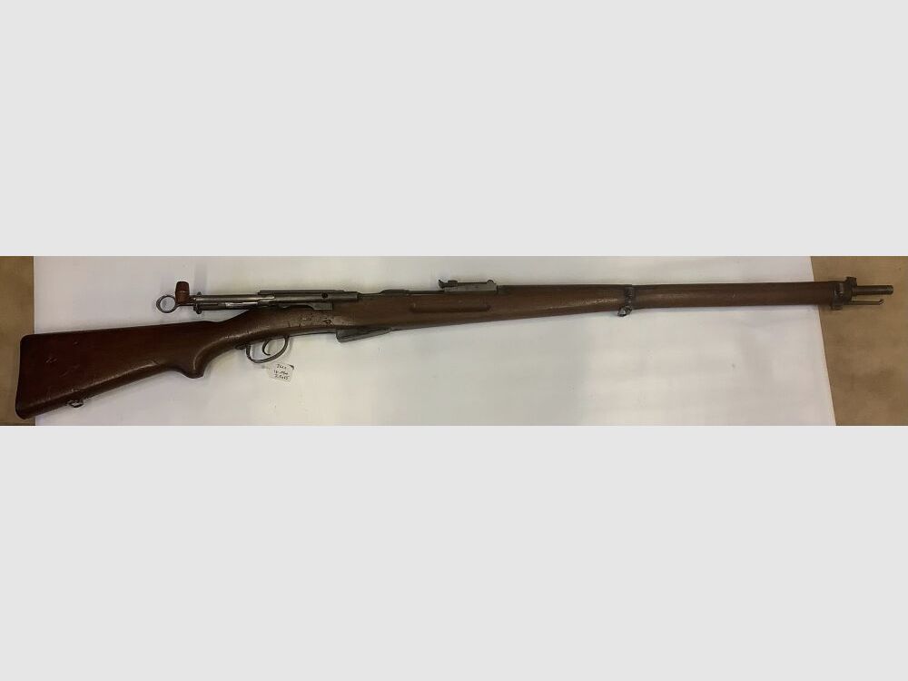 Schmidt - Rubin G11