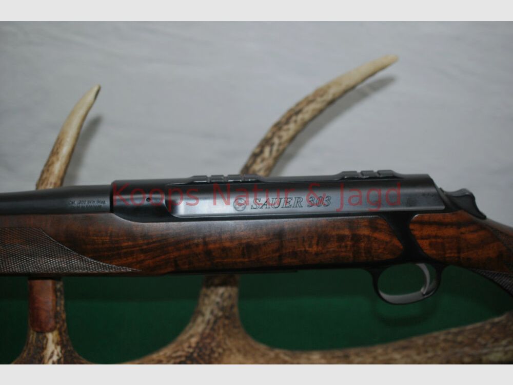 Sauer	 303