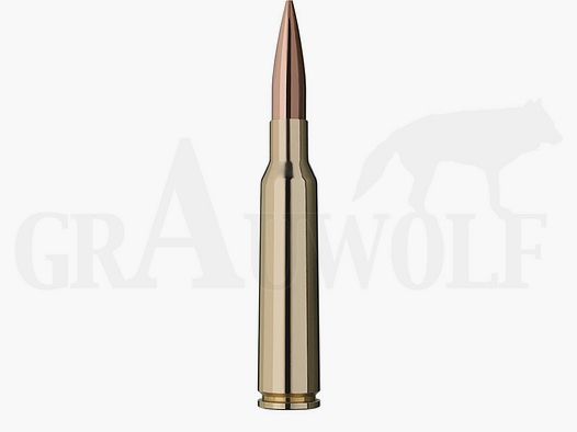 6,5 x 55 SE 130 gr / 8,4 g RWS Target Elite Plus Match Patronen 20 Stück
