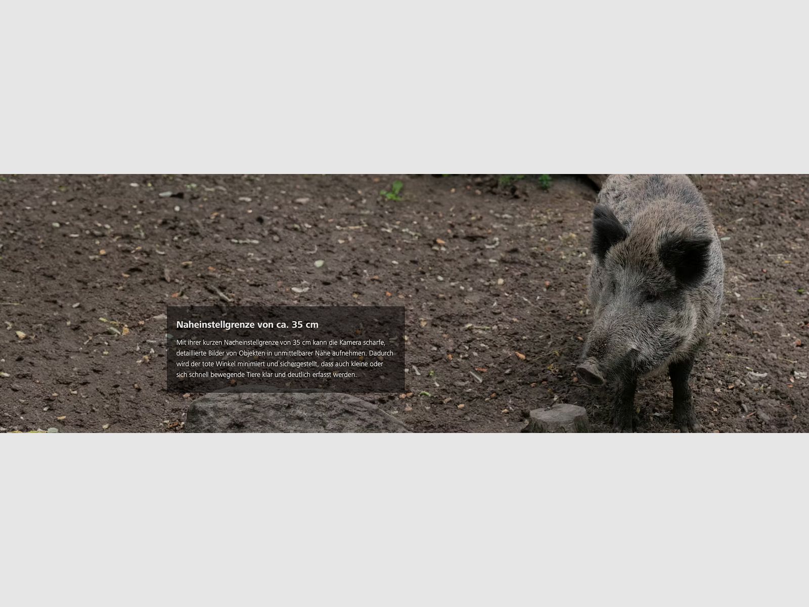 ZEISS Secacam 5 Telecamera per fauna selvatica grandangolare 100 gradi di campo visivo 25m di rilevamento