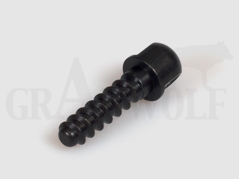 Recknagel Tornillo de culata para anilla de correa americana desmontable rosca de madera diámetro de cabeza 8 mm orificio 3,6 mm