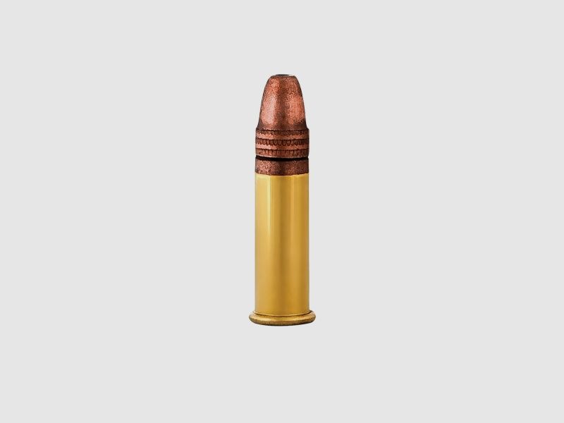 Aguila Super Extra High Velocity .22 LR 38GR LRN HP 500 Patronen