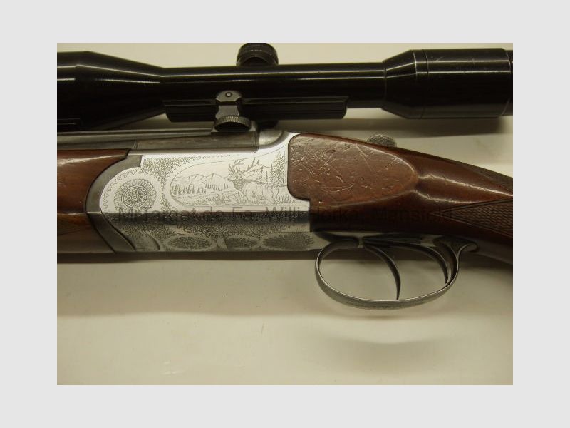 Sabattii con ZF SWAROVSKI 6x42 retículo 1