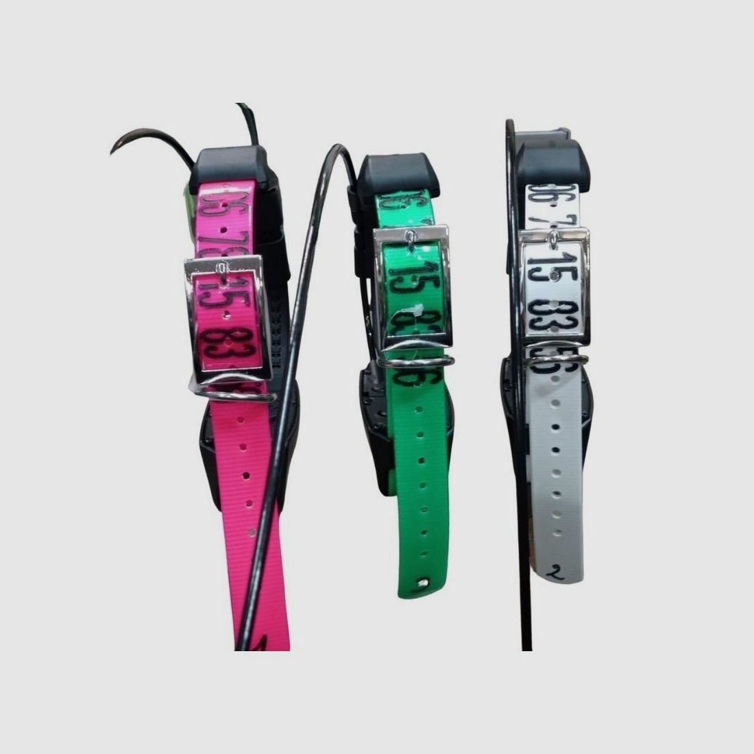 PERSONALISIERTE HUNDGRAVUR SPEZIAL GARMIN / SPORTDOG, Bild 3 von 4