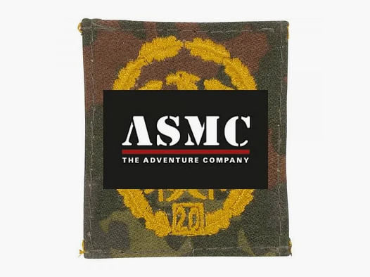 Unbekannt Leistungsabzeichen BW flecktarn goldfarben