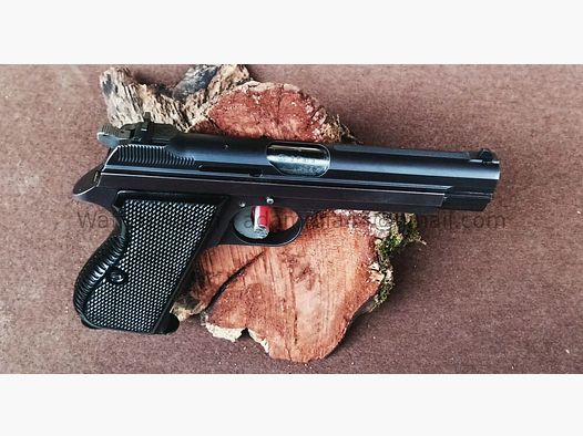 Swiss Industrial Company SIG 210