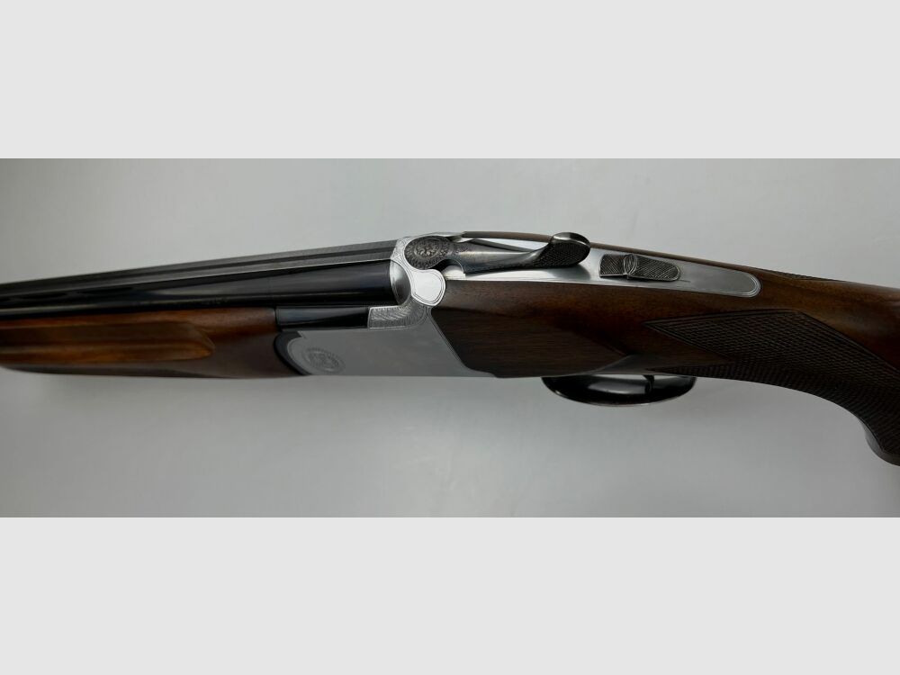 Trampa Rottweil Montreal