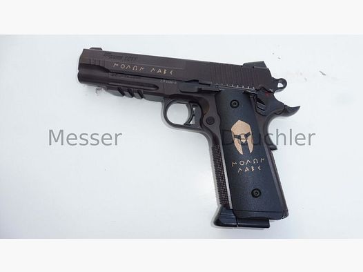 Sig Sauer 1911 Spartan