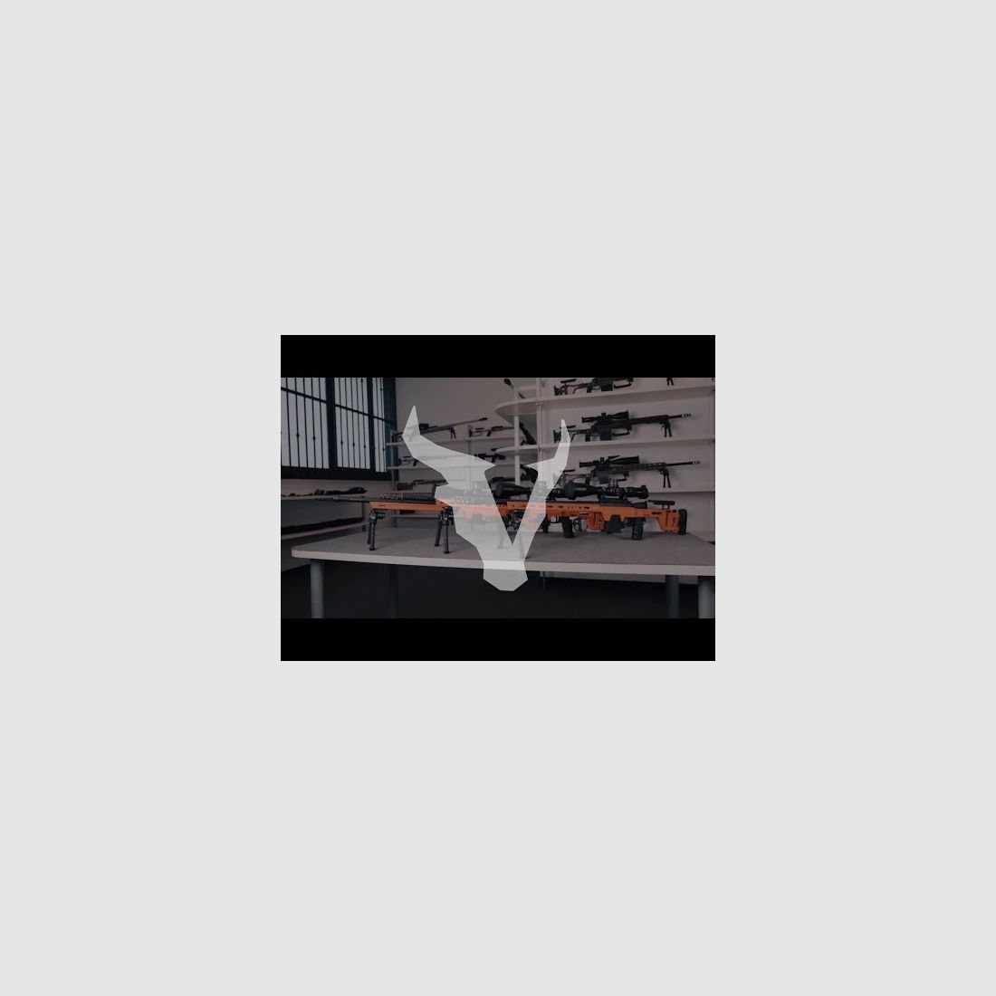 Victrix Venus X, Bild 8 von 8