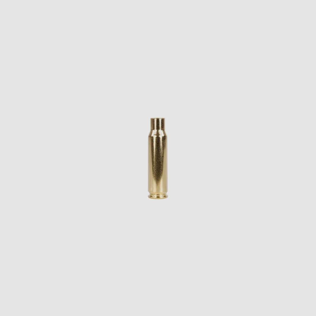 Nosler Hülsen 6,8 Special 100 Stück