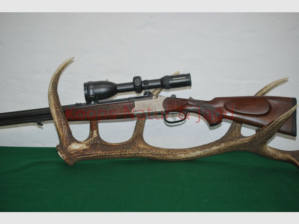 Blaser