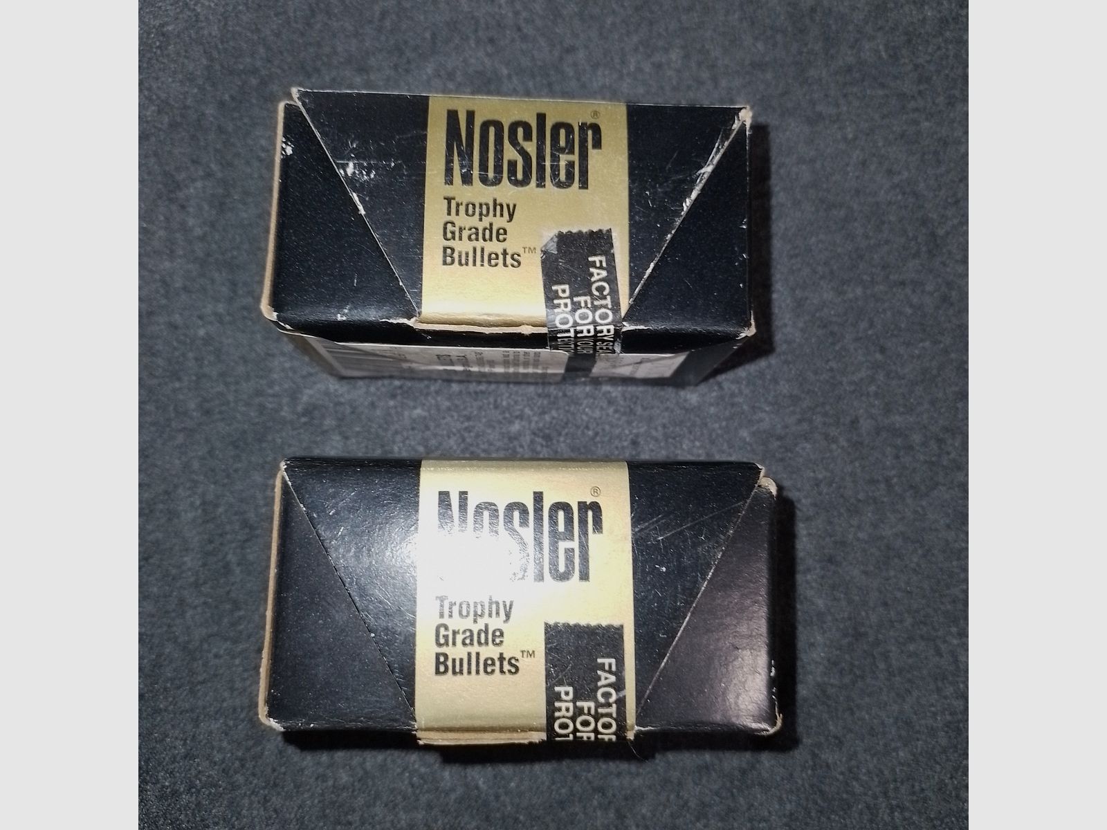 Nosler Partition