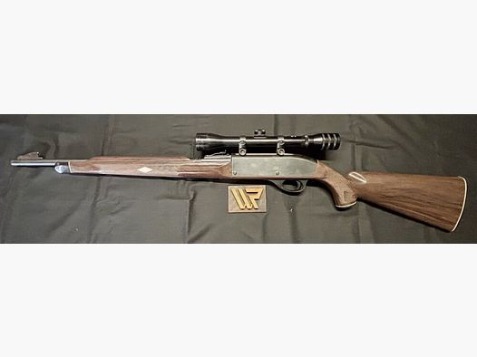 Remington unbekannt .22lr
