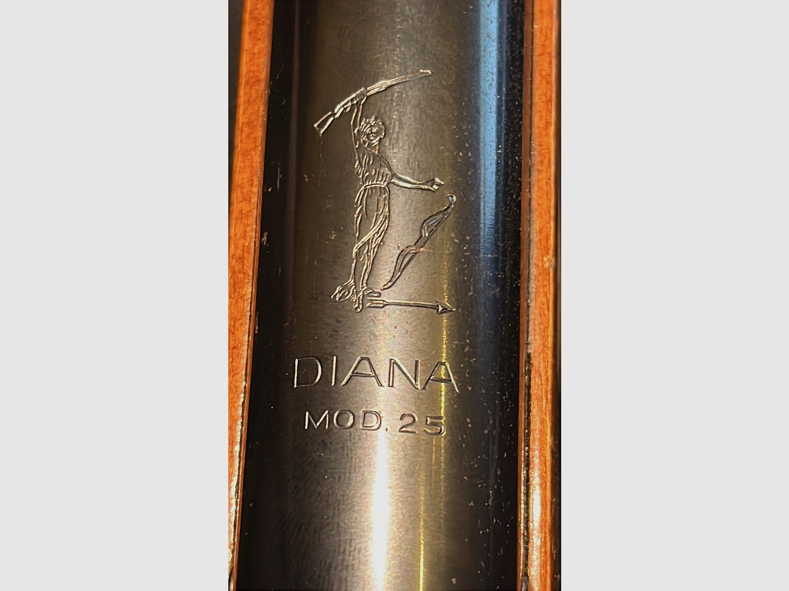 Diana Modello 25