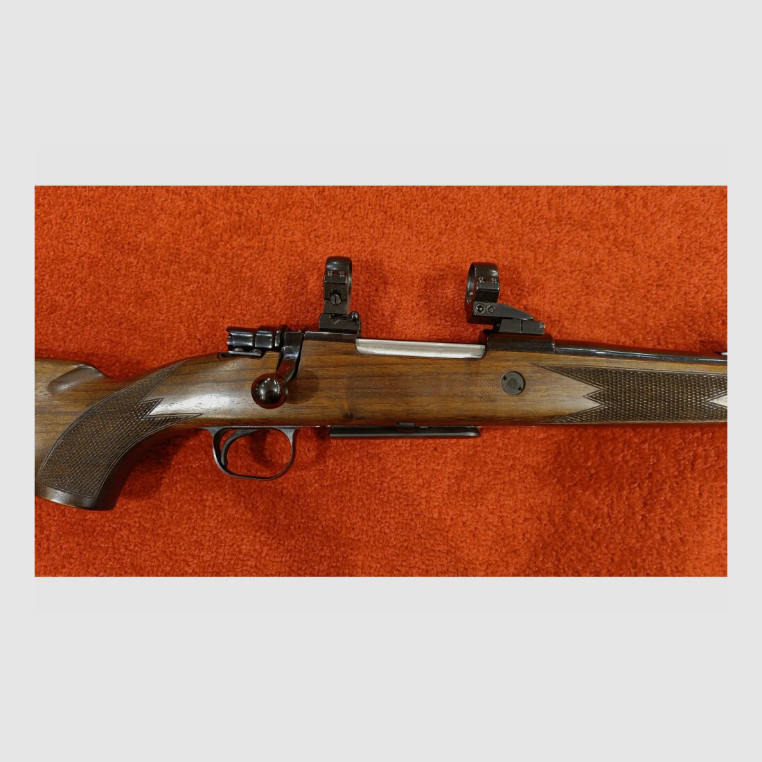 Santa Barbara Mod.1000 .243Win