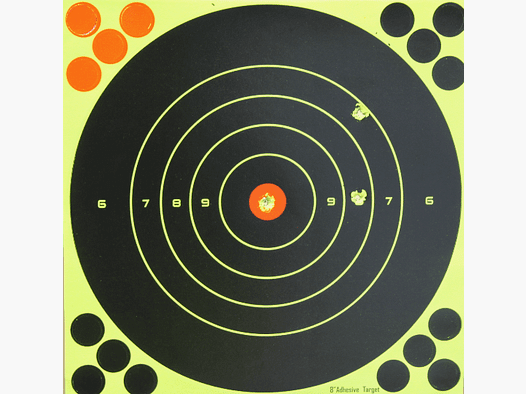 Cible Fritzmann avec indication de coup 25 pièces